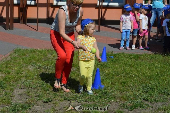 Ostrołęka: Spartakiada w Krainie Misiów [24.05.2016] - zdjęcie #139 - eOstroleka.pl