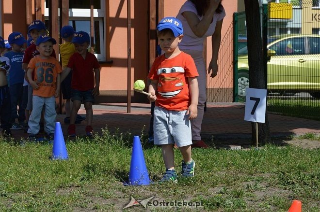 Ostrołęka: Spartakiada w Krainie Misiów [24.05.2016] - zdjęcie #135 - eOstroleka.pl