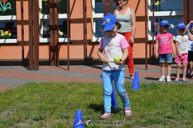 Ostrołęka: Spartakiada w Krainie Misiów [24.05.2016] - zdjęcie #127 - eOstroleka.pl
