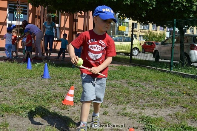 Ostrołęka: Spartakiada w Krainie Misiów [24.05.2016] - zdjęcie #123 - eOstroleka.pl