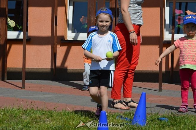 Ostrołęka: Spartakiada w Krainie Misiów [24.05.2016] - zdjęcie #165 - eOstroleka.pl