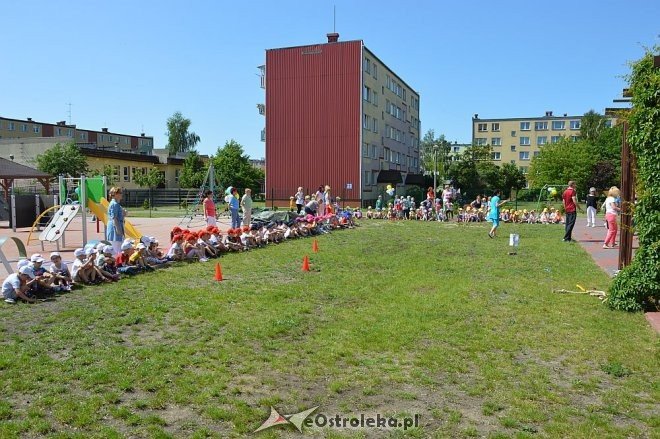 Ostrołęka: Spartakiada w Krainie Misiów [24.05.2016] - zdjęcie #267 - eOstroleka.pl