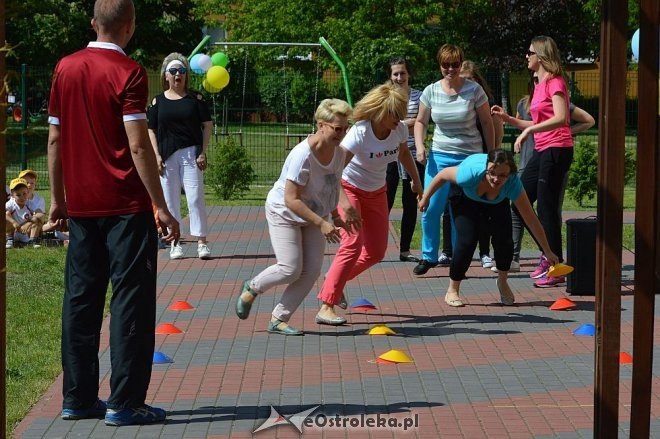 Ostrołęka: Spartakiada w Krainie Misiów [24.05.2016] - zdjęcie #273 - eOstroleka.pl