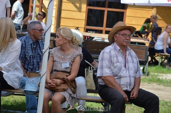 Festyn rodzinny Uśmiech dziecka w Ostrołęce [28.05.2016] - zdjęcie #58 - eOstroleka.pl