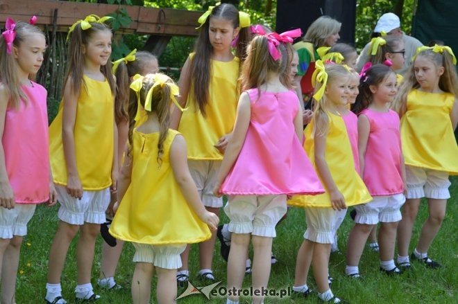 Festyn rodzinny Uśmiech dziecka w Ostrołęce [28.05.2016] - zdjęcie #28 - eOstroleka.pl