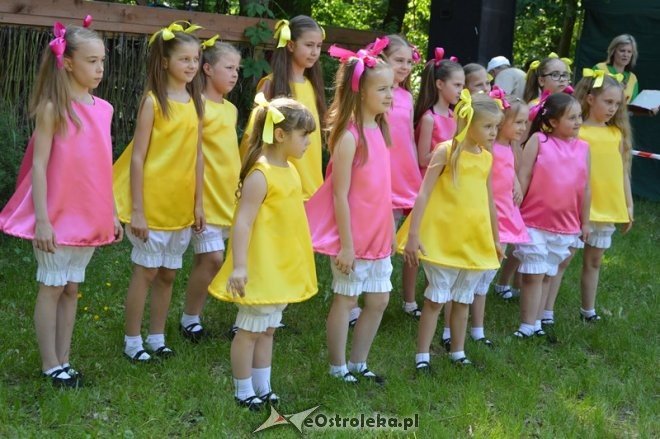 Festyn rodzinny Uśmiech dziecka w Ostrołęce [28.05.2016] - zdjęcie #22 - eOstroleka.pl