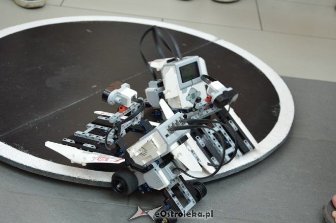 Dzień dziecka w Galerii Bursztynowej [29.05.2016] - zdjęcie #14 - eOstroleka.pl