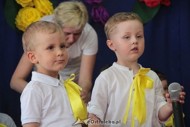 Dzień Rodziny w Krainie Misiów [31.05.2016] - zdjęcie #21 - eOstroleka.pl