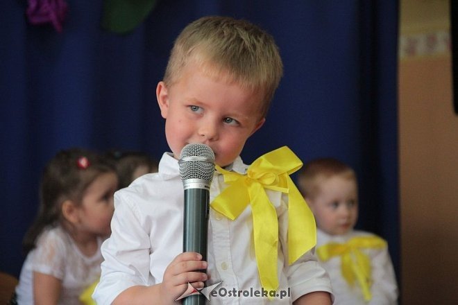Dzień Rodziny w Krainie Misiów [31.05.2016] - zdjęcie #97 - eOstroleka.pl