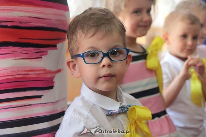 Dzień Rodziny w Krainie Misiów [31.05.2016] - zdjęcie #114 - eOstroleka.pl