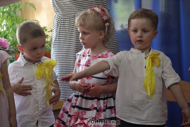 Dzień Rodziny w Krainie Misiów [31.05.2016] - zdjęcie #35 - eOstroleka.pl