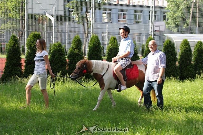 Festyn rodzinny w Szkole Podstawowej nr 4 w Ostrołęce [02.06.2016] - zdjęcie #52 - eOstroleka.pl