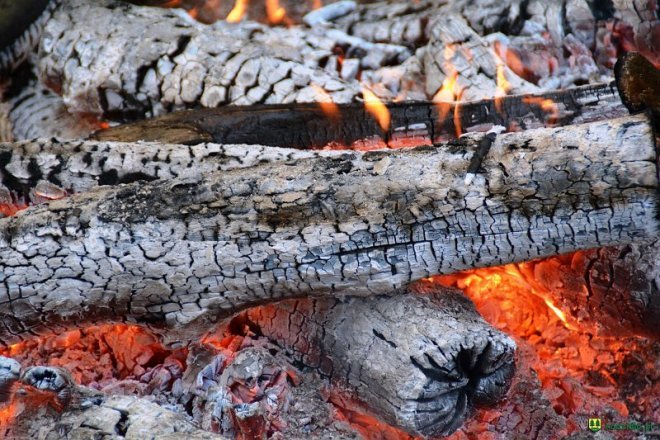 II Festiwal Kół Gospodyń Wiejskich z gminy Kadzidło [04.06.2016] - zdjęcie #191 - eOstroleka.pl