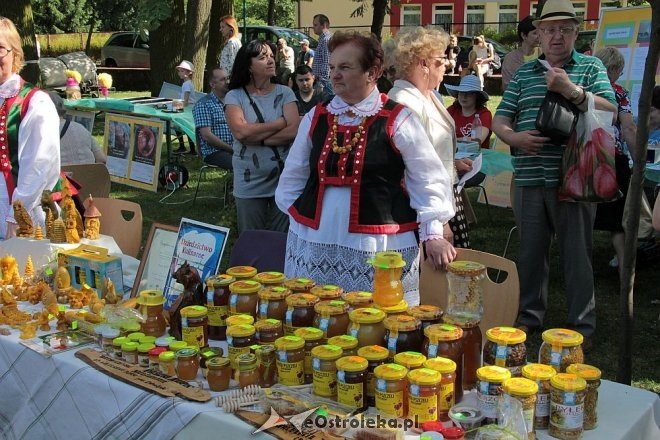 IV Ostrołęckie Spotkania Spółdzielcze [05.06.2016] - zdjęcie #104 - eOstroleka.pl