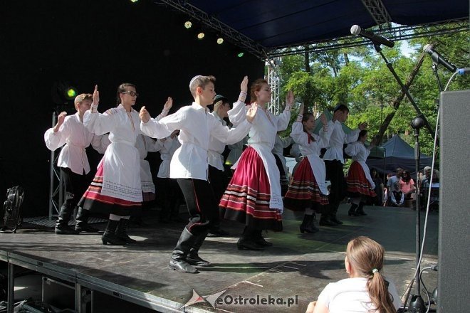 IV Ostrołęckie Spotkania Spółdzielcze [05.06.2016] - zdjęcie #86 - eOstroleka.pl