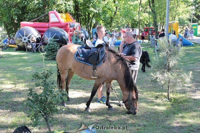 IV Ostrołęckie Spotkania Spółdzielcze [05.06.2016] - zdjęcie #1 - eOstroleka.pl
