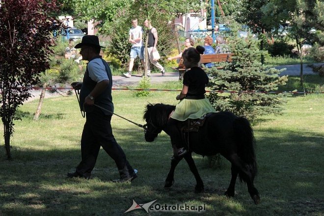 IV Ostrołęckie Spotkania Spółdzielcze [05.06.2016] - zdjęcie #119 - eOstroleka.pl