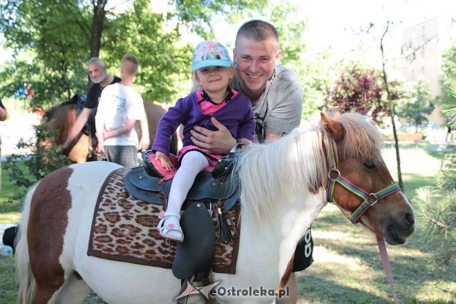 IV Ostrołęckie Spotkania Spółdzielcze [05.06.2016] - zdjęcie #89 - eOstroleka.pl