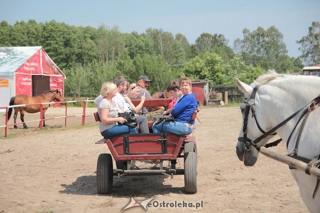Integracyjne spotkanie podopiecznych ŚDS Starosty Kosa w stadninie Mustang [17.06.2016] - zdjęcie #6 - eOstroleka.pl