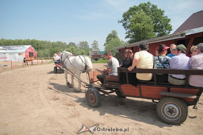Integracyjne spotkanie podopiecznych ŚDS Starosty Kosa w stadninie Mustang [17.06.2016] - zdjęcie #5 - eOstroleka.pl