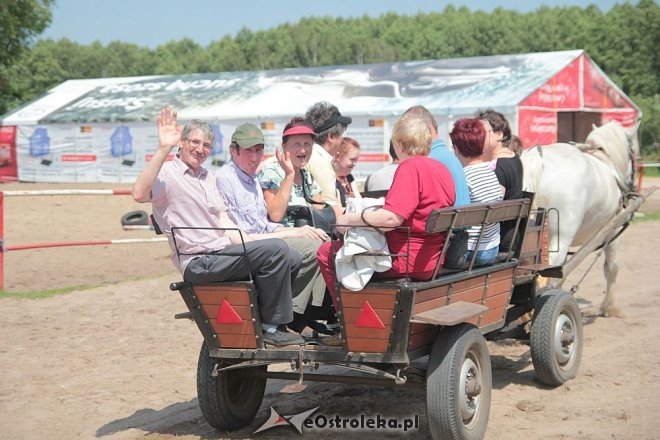 Integracyjne spotkanie podopiecznych ŚDS Starosty Kosa w stadninie Mustang [17.06.2016] - zdjęcie #3 - eOstroleka.pl