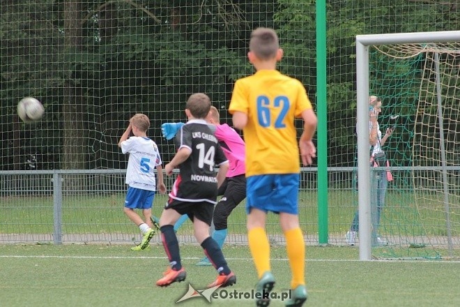 APN Cup 2016 [18.06.2016] - zdjęcie #25 - eOstroleka.pl