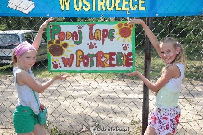 Festyn rodzinny z Radą Osiedla Wojciechowice [19.06.2016] - zdjęcie #65 - eOstroleka.pl