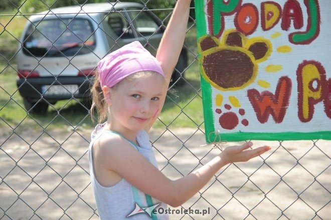 Festyn rodzinny z Radą Osiedla Wojciechowice [19.06.2016] - zdjęcie #63 - eOstroleka.pl