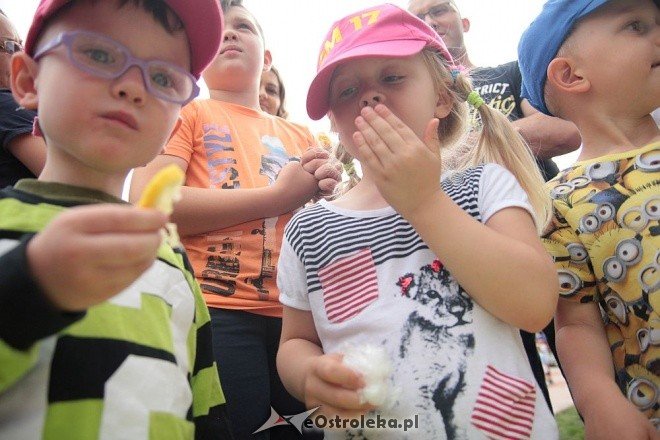 Sportowy piknik integracyjny w Krainie Misiów [22.06.2016] - zdjęcie #54 - eOstroleka.pl