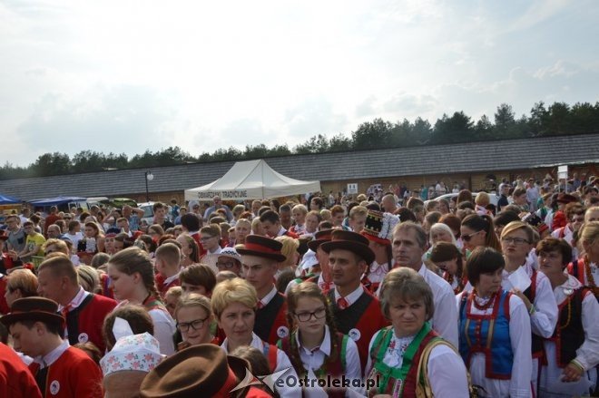 Światowy Zlot Młodzieży Kurpiowskiej - rekord Guinnessa [24.07.2016] - zdjęcie #54 - eOstroleka.pl