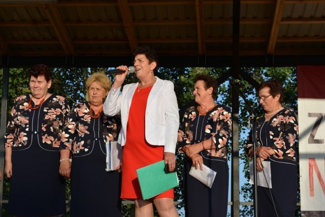 Festyn rodzinny w Babie [23.07.2016] - zdjęcie #33 - eOstroleka.pl