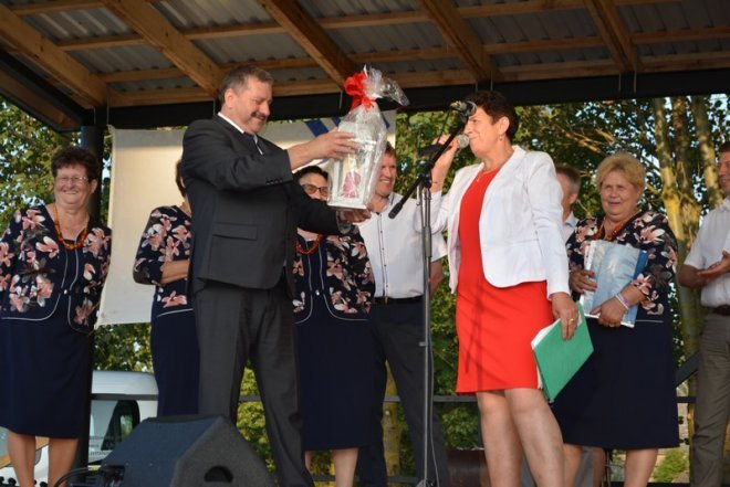 Festyn rodzinny w Babie [23.07.2016] - zdjęcie #25 - eOstroleka.pl