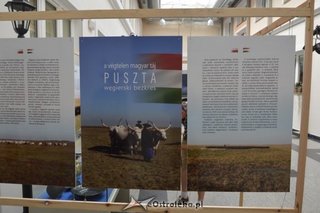 Wernisaż wystawy Puszta - węgierski bezkres [26.07.2016] - zdjęcie #2 - eOstroleka.pl