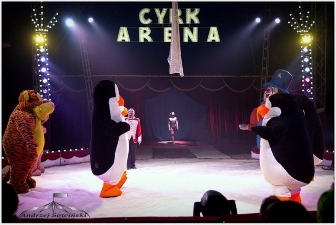 Cyrk Arena w Ostrołęce - zapowiedź - zdjęcie #8 - eOstroleka.pl
