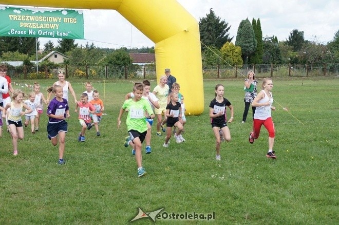 Cross na Ostrej Łące [07.08.2016] - zdjęcie #45 - eOstroleka.pl