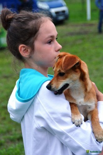 Festyn rodzinny w Krobi [13.08.2016] - zdjęcie #33 - eOstroleka.pl