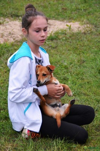 Festyn rodzinny w Krobi [13.08.2016] - zdjęcie #31 - eOstroleka.pl