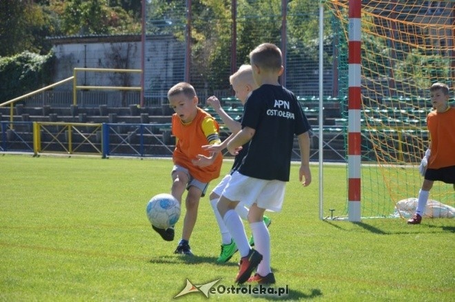 Turniej piłki nożnej rocznika 2009 [26.08.2016] - zdjęcie #18 - eOstroleka.pl