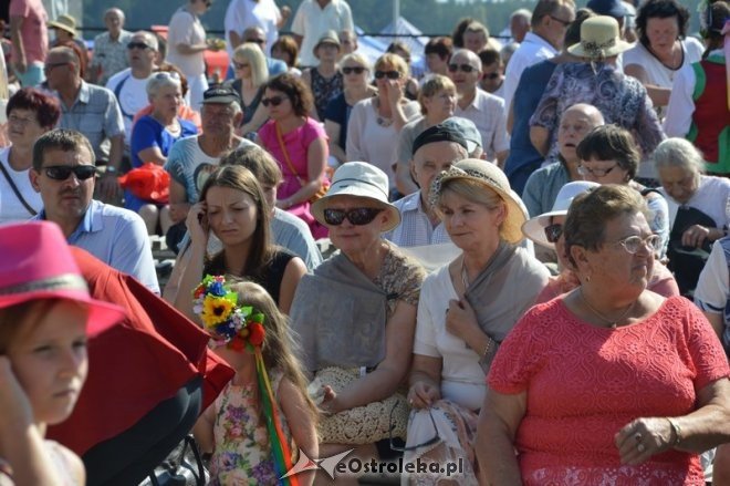 Miodobranie Kurpiowskie 2016 [28.08.2016] - zdjęcie #87 - eOstroleka.pl