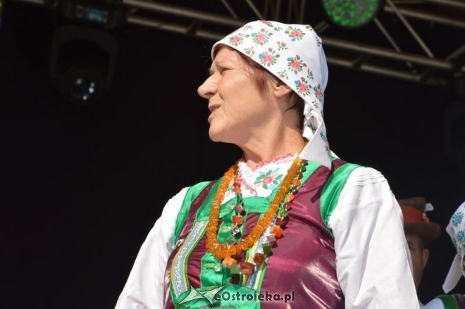 Miodobranie Kurpiowskie 2016 [28.08.2016] - zdjęcie #57 - eOstroleka.pl