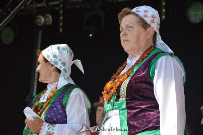Miodobranie Kurpiowskie 2016 [28.08.2016] - zdjęcie #55 - eOstroleka.pl