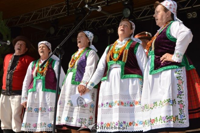 Miodobranie Kurpiowskie 2016 [28.08.2016] - zdjęcie #52 - eOstroleka.pl