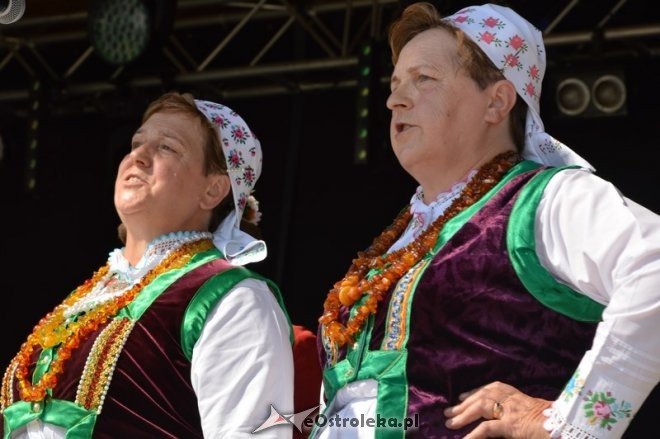 Miodobranie Kurpiowskie 2016 [28.08.2016] - zdjęcie #50 - eOstroleka.pl