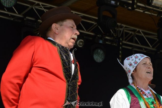 Miodobranie Kurpiowskie 2016 [28.08.2016] - zdjęcie #38 - eOstroleka.pl