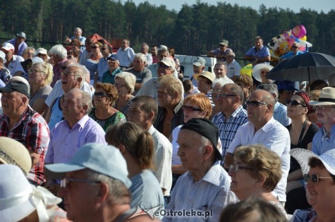 Miodobranie Kurpiowskie 2016 [28.08.2016] - zdjęcie #14 - eOstroleka.pl