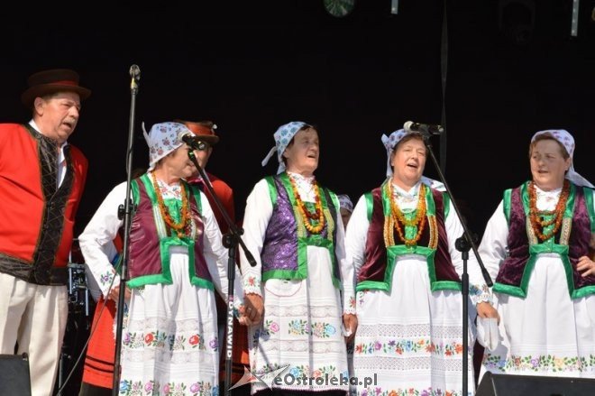 Miodobranie Kurpiowskie 2016 [28.08.2016] - zdjęcie #11 - eOstroleka.pl