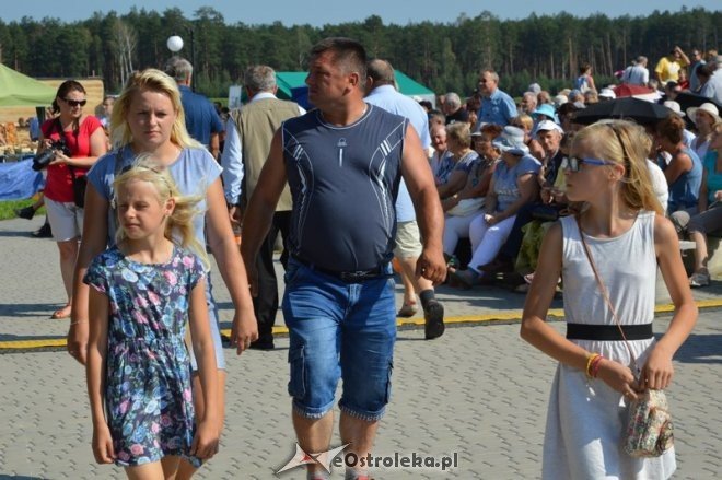 Miodobranie Kurpiowskie 2016 [28.08.2016] - zdjęcie #110 - eOstroleka.pl