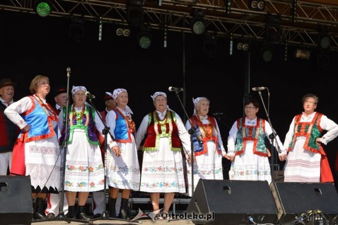 Miodobranie Kurpiowskie 2016 [28.08.2016] - zdjęcie #102 - eOstroleka.pl