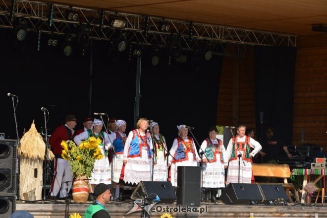Miodobranie Kurpiowskie 2016 [28.08.2016] - zdjęcie #88 - eOstroleka.pl