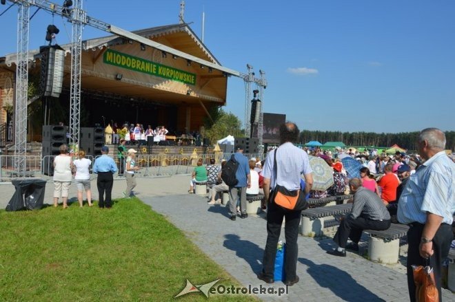 Miodobranie Kurpiowskie 2016 [28.08.2016] - zdjęcie #86 - eOstroleka.pl
